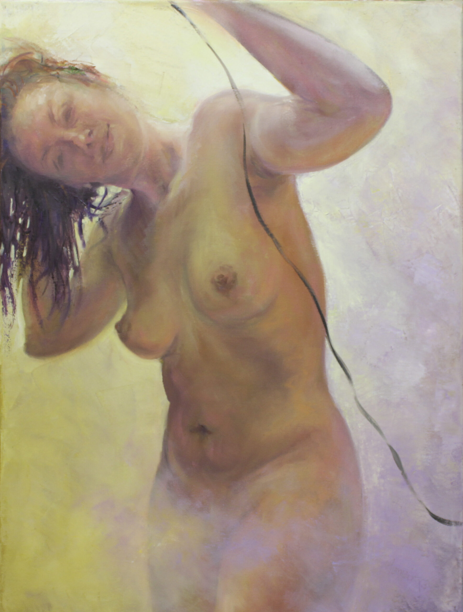 Homeira Mortazavi- Zenance- oil on canvas-24 X20 inches framed, $3500